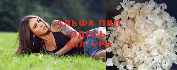 спайс Вяземский