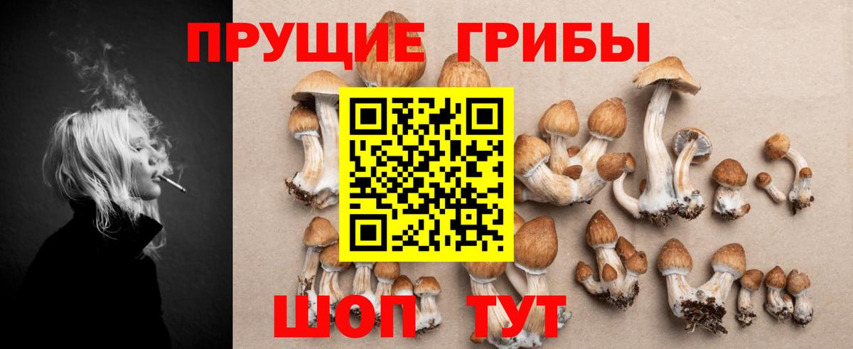 Псилоцибиновые грибы мухоморы  Вход с VPN  Псилоцибиновые грибы Psilocybine cubensis  Мончегорск 